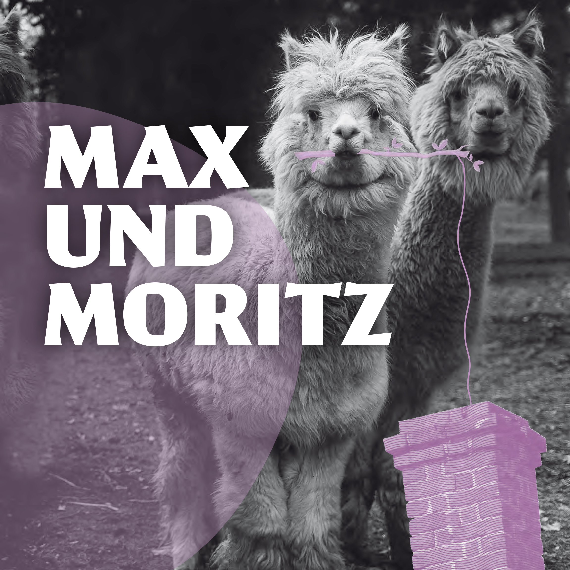 Max Und Moritz 8098